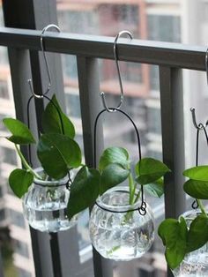 three clear glass vases with plants in them hanging from hooks on a balcony railing