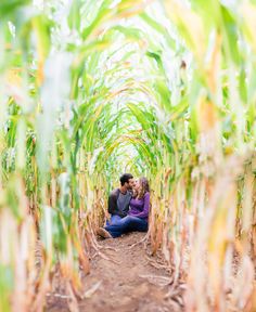 two people are sitting in the middle of a corn field and one person is kissing