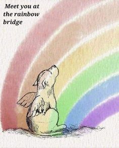 a drawing of a bird sitting on the ground with a rainbow in the background