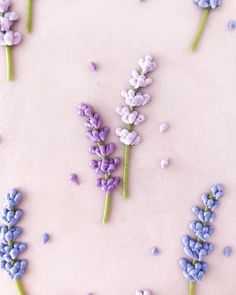 purple and white frosted cake with lavender sprinkles