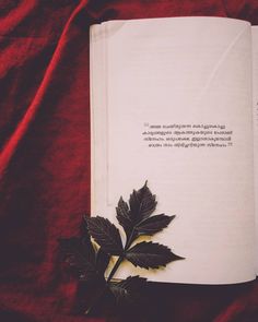 an open book with a leaf laying on top of it next to a red cloth