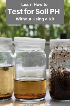 three jars filled with liquid and dirt sitting on top of a table