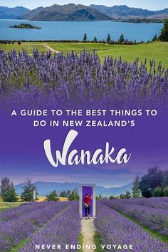 the front cover of a travel guide to the best things to do in new zealand's wanka