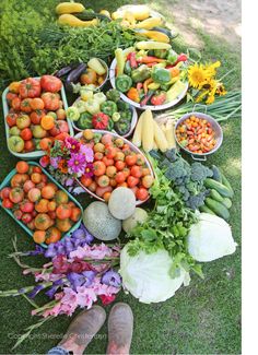 many different types of fruits and vegetables laid out on the grass