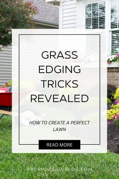 grass edging tricks revealed how to create a perfect lawn read more on the post