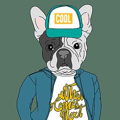 a dog wearing a hat with the word cool on it's front and back