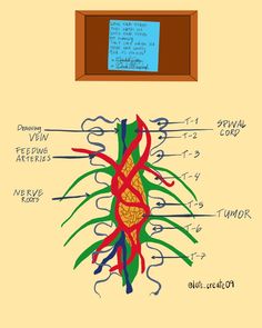 an image of a plant with labels attached to it's roots and the main parts labeled