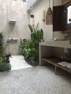 a bathroom with plants in the corner and a mirror on the wall next to it