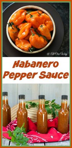 the recipe for habanero pepper sauce is shown