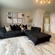 a dog standing on the back of a couch in a living room next to a rug