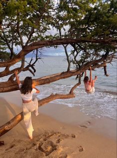 two people are playing on the beach by some tree branches and one person is jumping in the water