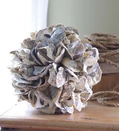 a close up of a bunch of shells on a table with ropes and a window in the background