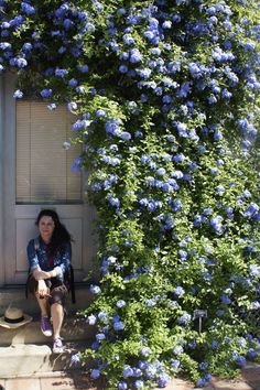 a woman sitting on a bench in front of blue flowers