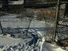 the fence is covered in snow and there are tracks left by the animals on the ground