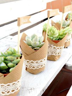 small succulents are placed in paper cones on a table with wooden signs