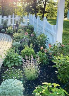 a garden with white picket fence and lots of flowers