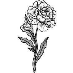 Pierce Ideas, Marigold Tattoo, Boys With Tattoos, Woodcut Tattoo, Engraving Tattoo, Pottery Projects, Tattoo Flowers, Inkbox Tattoo, Work Portfolio