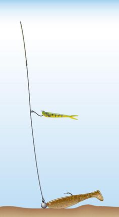 an illustration of a fish hooked up to a fishing pole