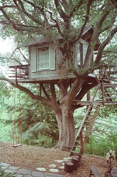 a tree house built into the side of a tree