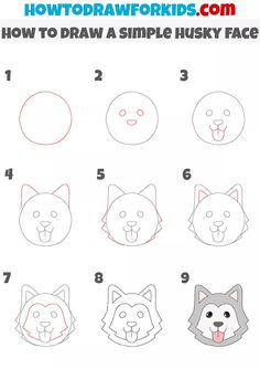 how to draw a simple husky face for kids with easy instructions and step - by - step instructions