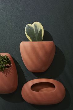 two clay pots with plants in them against a wall