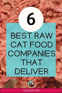 food with the words best raw cat food companies that deliver on it and an image of meat