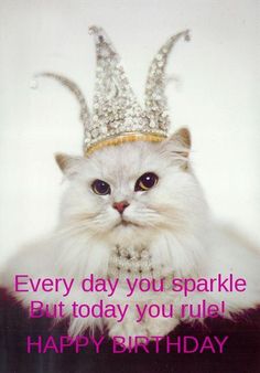 a white cat wearing a tiara on top of it's head with the words, every day you sparkle but today you ruler happy birthday