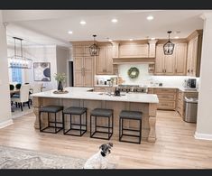 a dog sitting in the middle of a kitchen with an island and bar stools