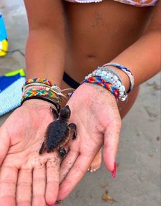 a woman holding a baby turtle in her hands