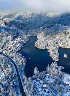 an aerial view of a lake surrounded by snow covered trees