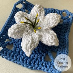 a crocheted square with a white flower on it and text overlay that reads, free crochet pattern