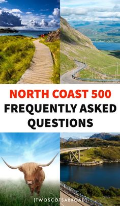 the north coast 500 frequently asked questions with an image of a long horned cow and bridge