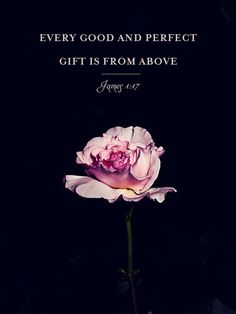 a pink flower with the words, every good and perfect gift is from above