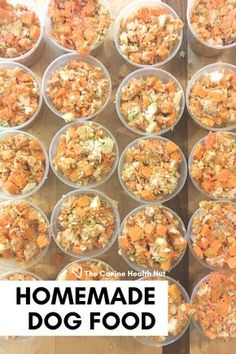 the homemade dog food is packed in plastic containers and ready to be eaten for consumption