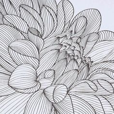 a drawing of a bunch of flowers in black and white with some lines on it