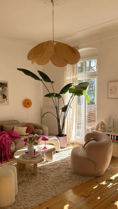 a living room filled with furniture and a large plant in the middle of the room