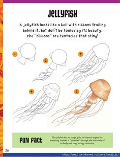 the instructions for how to draw jellyfish