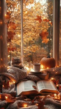 a cat sitting on top of an open book next to a window with fall leaves