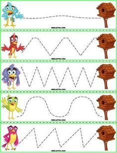 the worksheet for letter w with pictures of birds