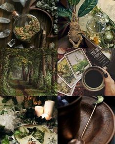 Forest Witch Aesthetic, Green Witch Aesthetic, Johanna Basford Enchanted Forest, Goblincore Aesthetic, Nature Witch, Cottage Witch, Magia Das Ervas, Forest Witch, Hedge Witch