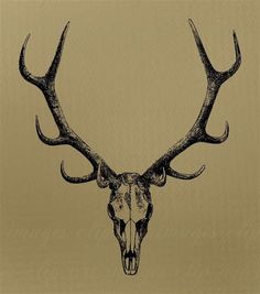 a deer's skull with antlers is shown in black and white on a tan background