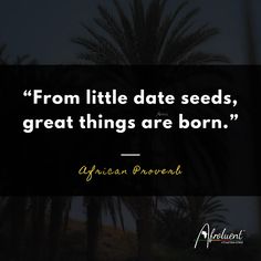 "From little date seeds, great things are born.” African proverb and quote. Date Seeds, African Music