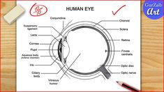 an eye diagram on a piece of paper