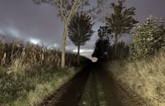 a dirt road surrounded by tall grass and trees on either side of it is a dark sky with clouds in the distance