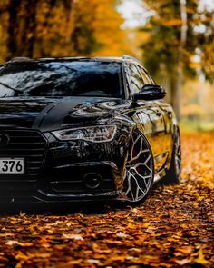 the front end of a black car parked on top of leaves covered ground with trees in the background