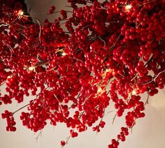 some red berries are hanging from a branch with lights on it's end,