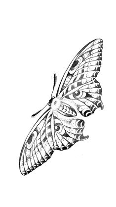 a black and white drawing of a butterfly