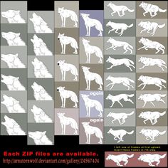 the silhouettes of dogs are shown in different colors and sizes, including white on gray