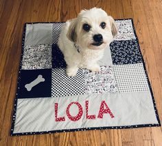 a white dog sitting on top of a wooden floor next to a black and white rug