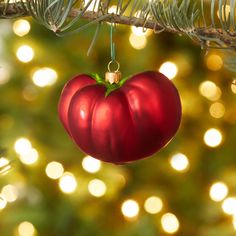 a red ornament hanging from a christmas tree with lights in the back ground